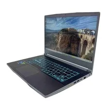 MSI Thin 15 B13VF 15.6" Laptop I5 13th Gen RTX 4060 16GB